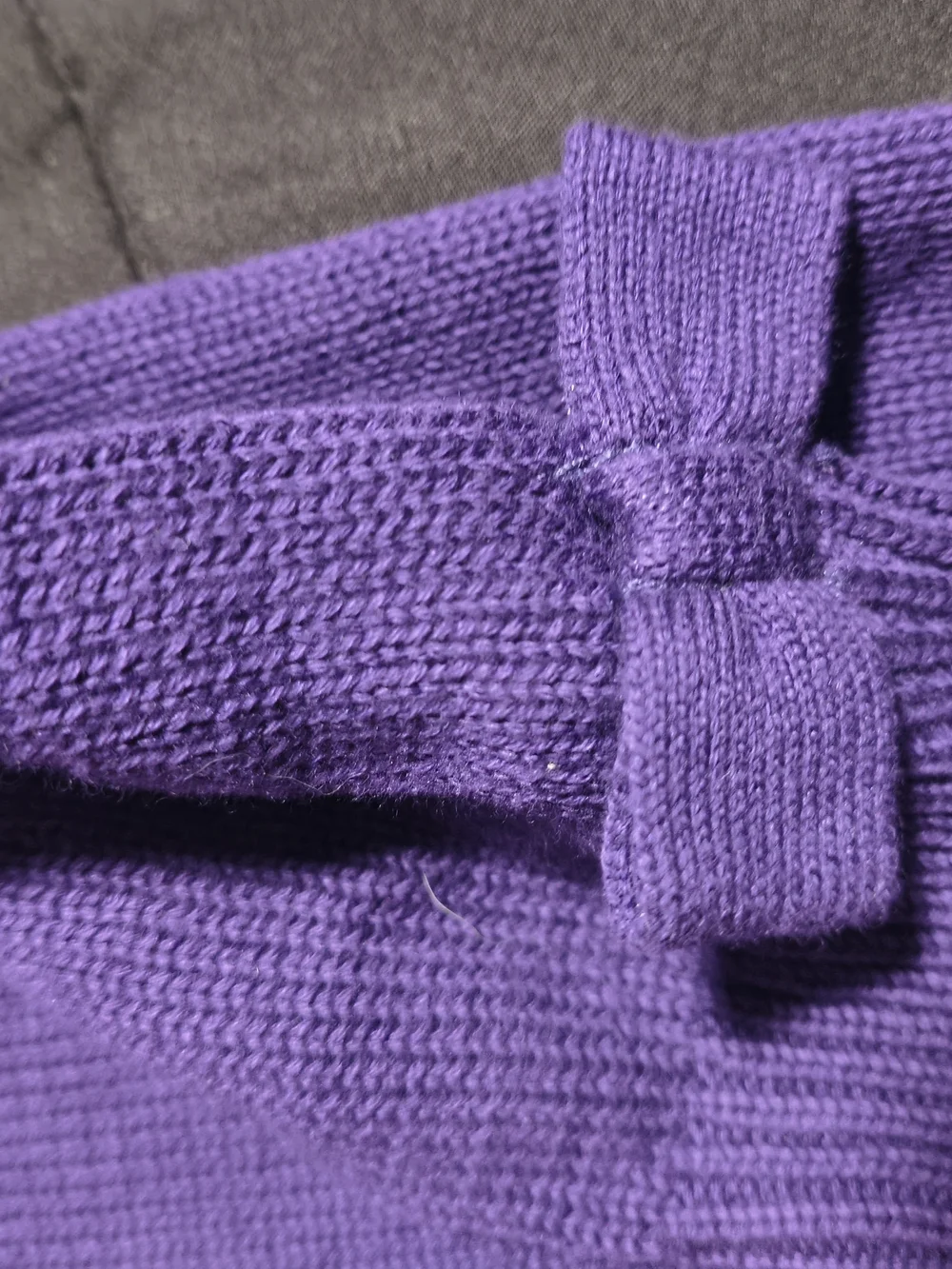 Janie and Jack Purple Knit Sweater with Red-Accented Dog Motif